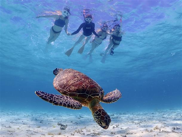 【宮古島】アクティビティ・体験ランキングTOP5！ たびらいで夏に人気が高まるプランを紹介