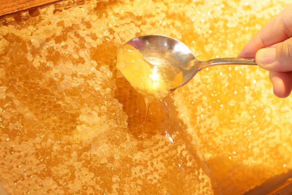 ブレックファストの巣蜜