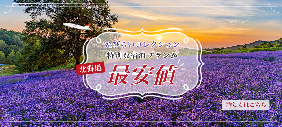 【たびらいコレクション】特別な宿泊プランが最安値 -北海道- バナーPC