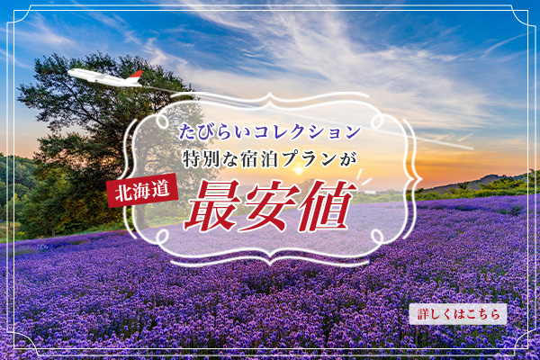 【たびらいコレクション】特別な宿泊プランが最安値 -北海道- バナーSP