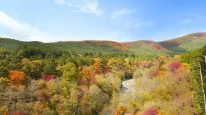 【日光・川治・草津】紅葉を楽しめるホテル・旅館5選