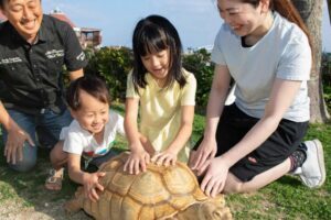 アクティビティ