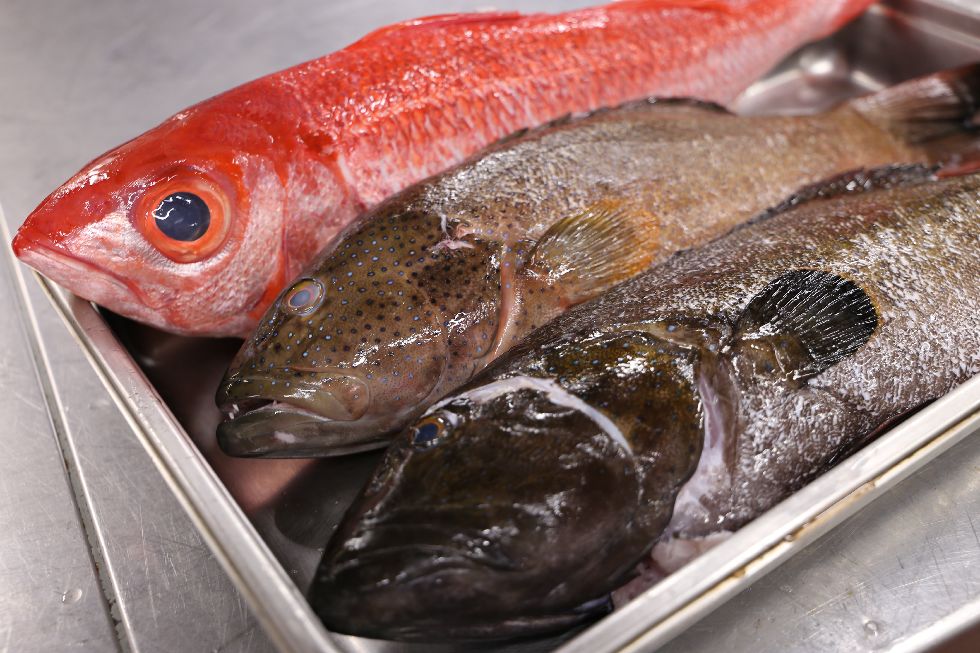 沖縄県産の「いまいゆ」（沖縄の方言で鮮魚を意味）