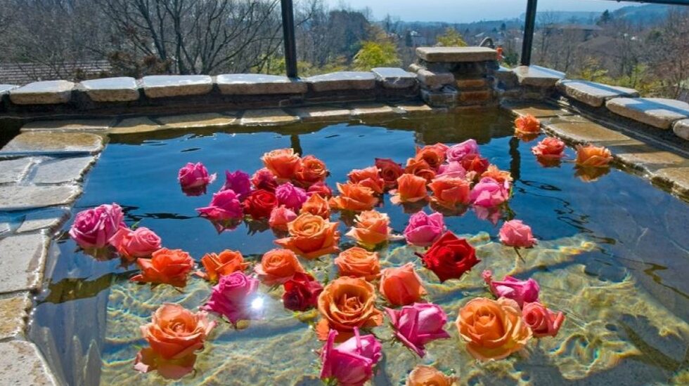 かえで庵_バラのお風呂