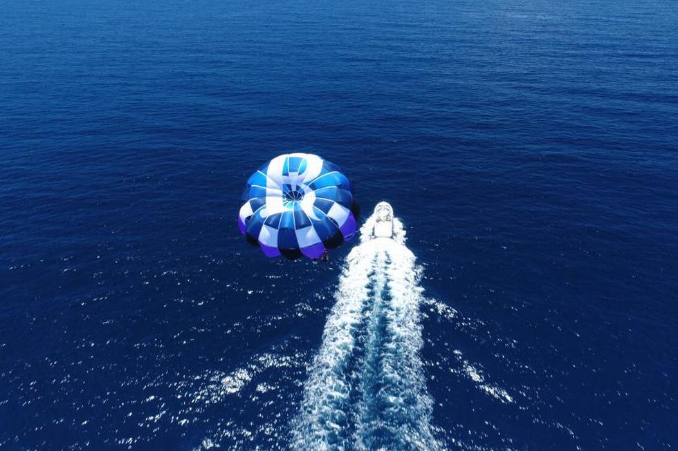 アクティビティ