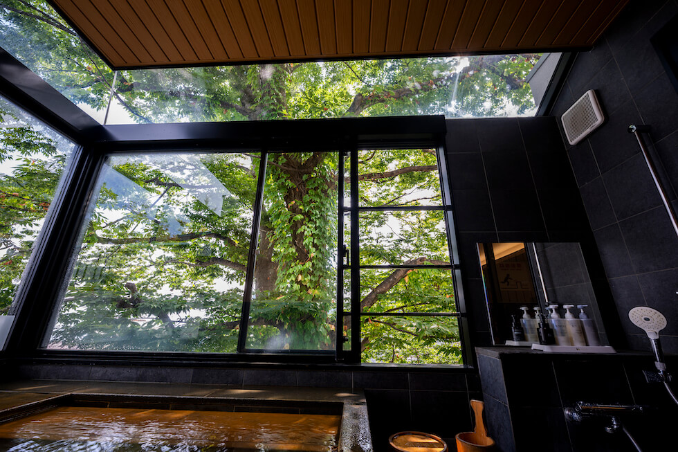 貸切風呂「欅の湯」から見える欅の木