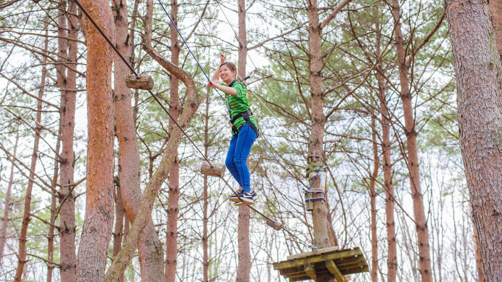 ツリートレッキング