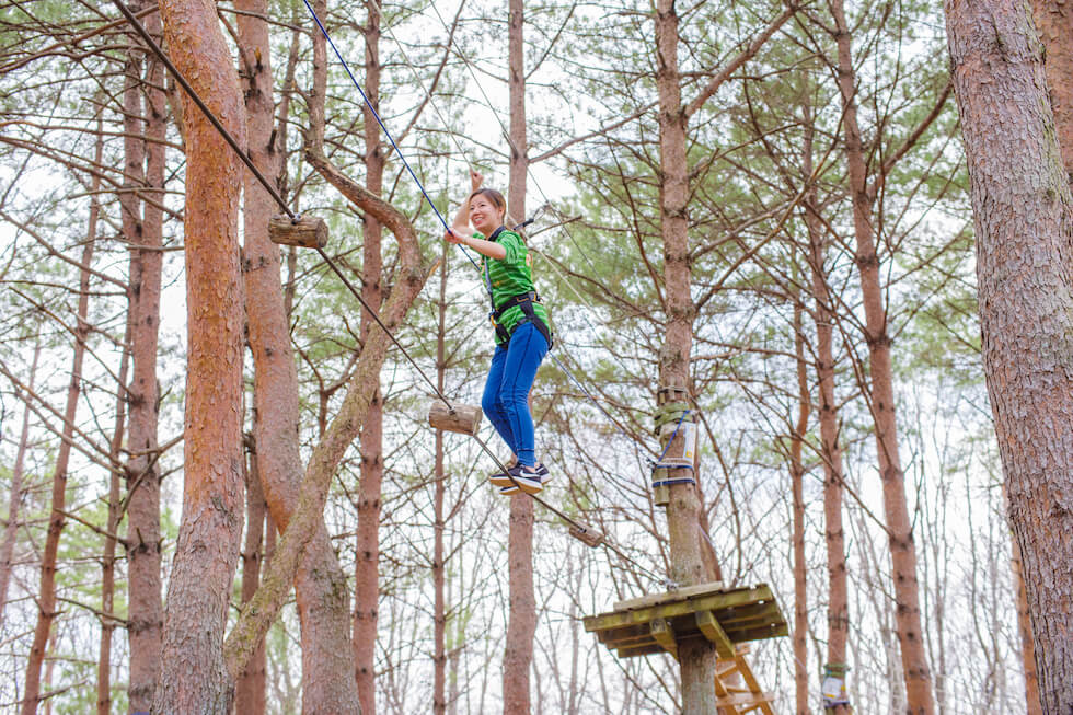 ツリートレッキング