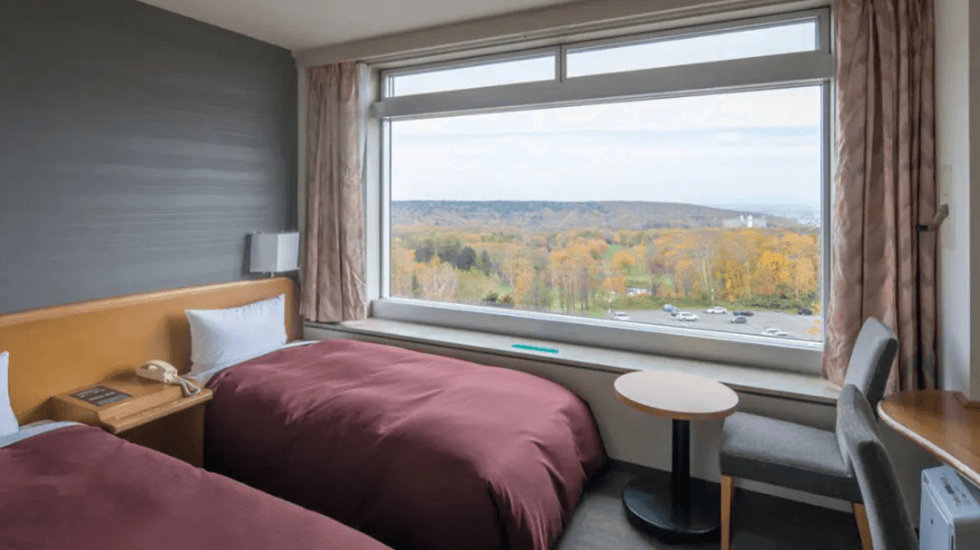 スマートツイン