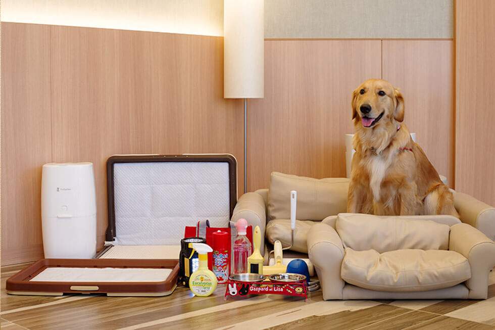 ワンちゃんグッズ