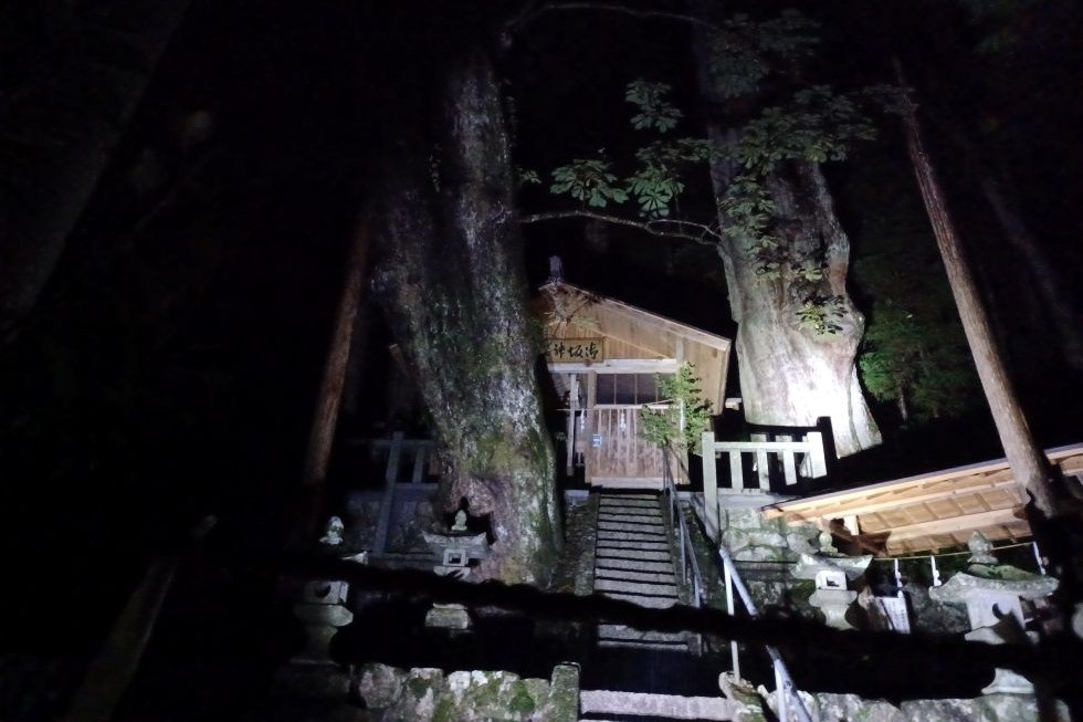 おとぎ亭光風_ご神木