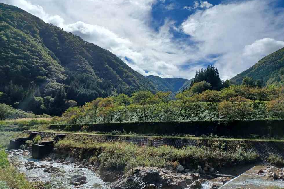 おとぎ亭光風_近所の桃源郷