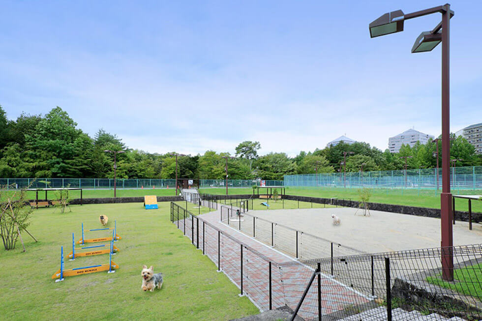 那須最大級のドッグラン
