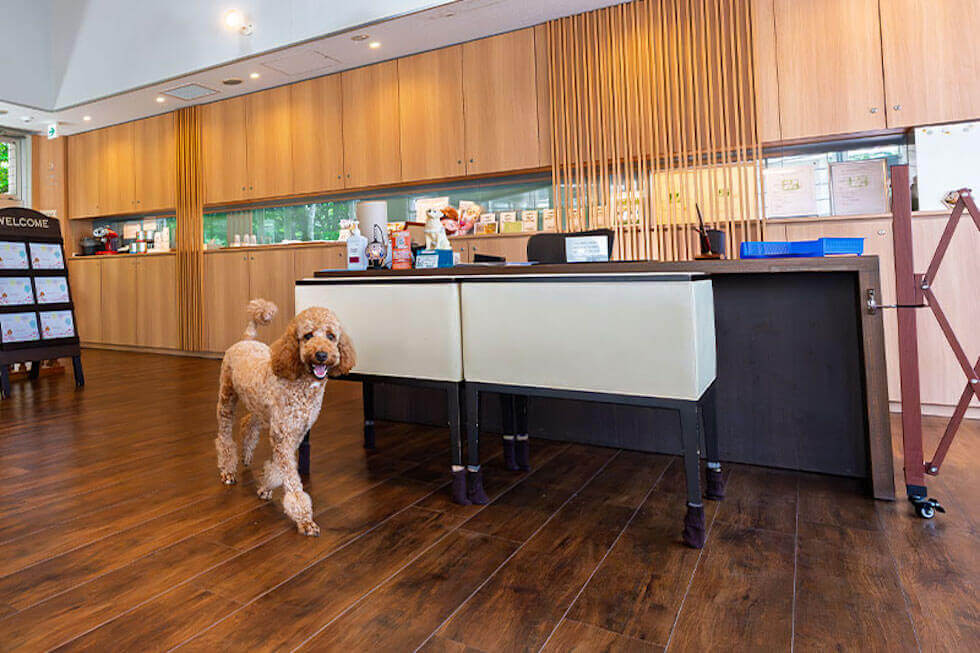 ペット棟の専用フロント