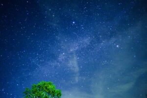 おとぎ亭光風_PremiumNight