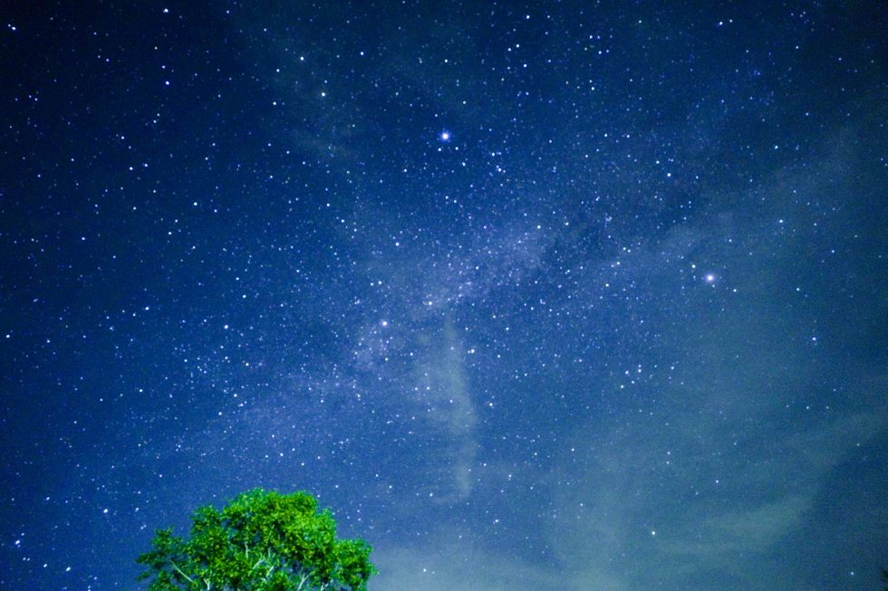 おとぎ亭光風_PremiumNight