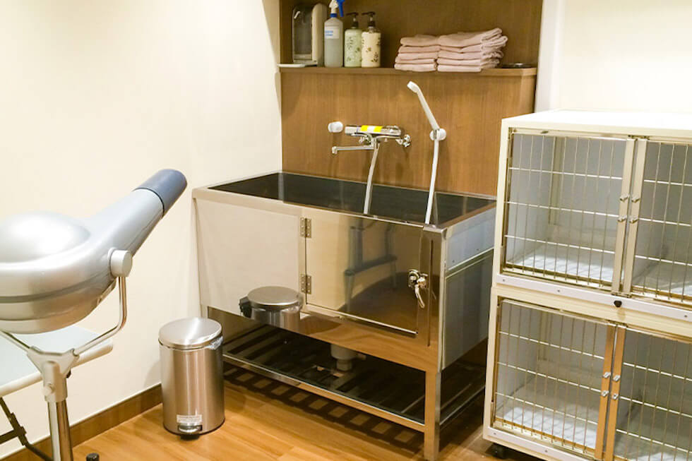 ドッグシャンプー