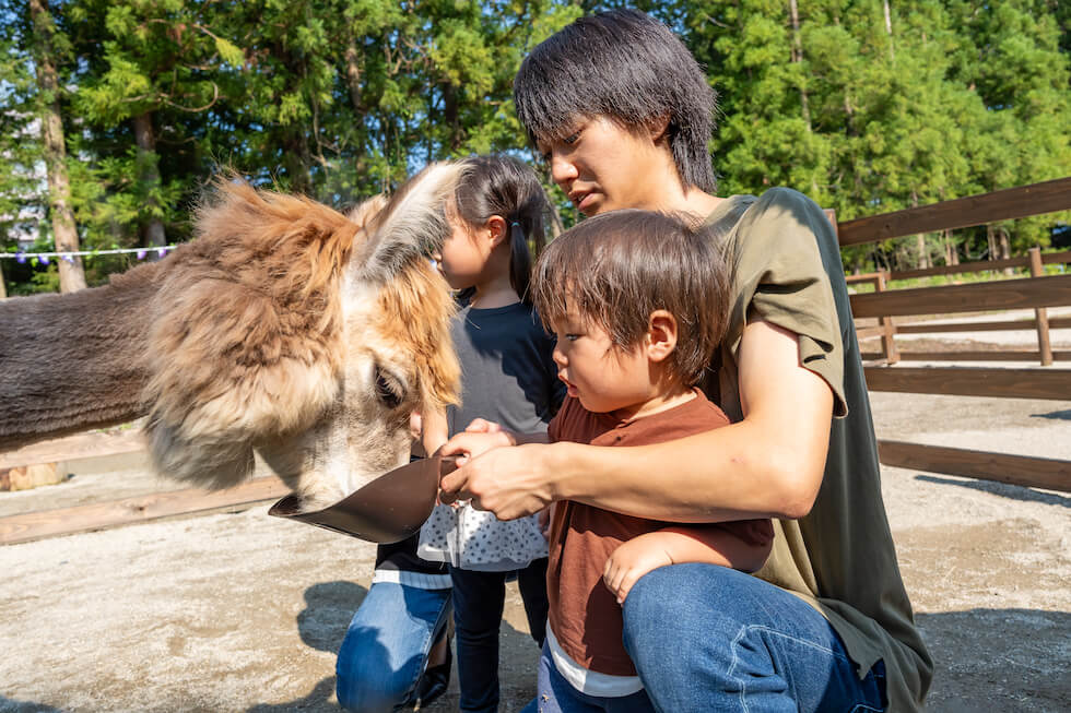 どうぶつ広場