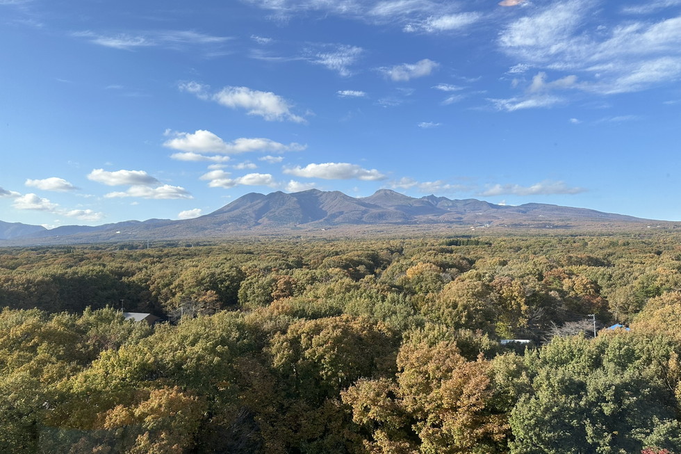 客室からは那須の絶景が広がっていました