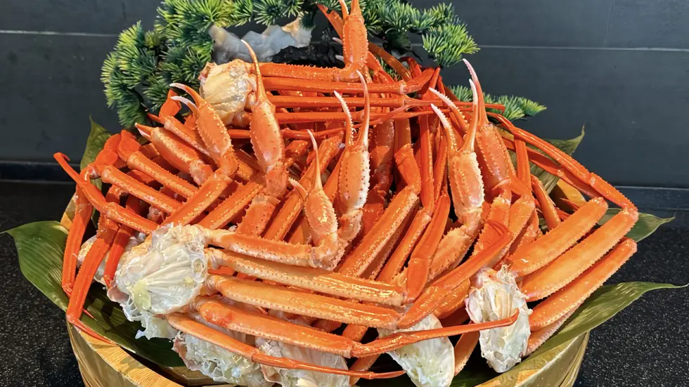 堂ヶ島ニュー銀水