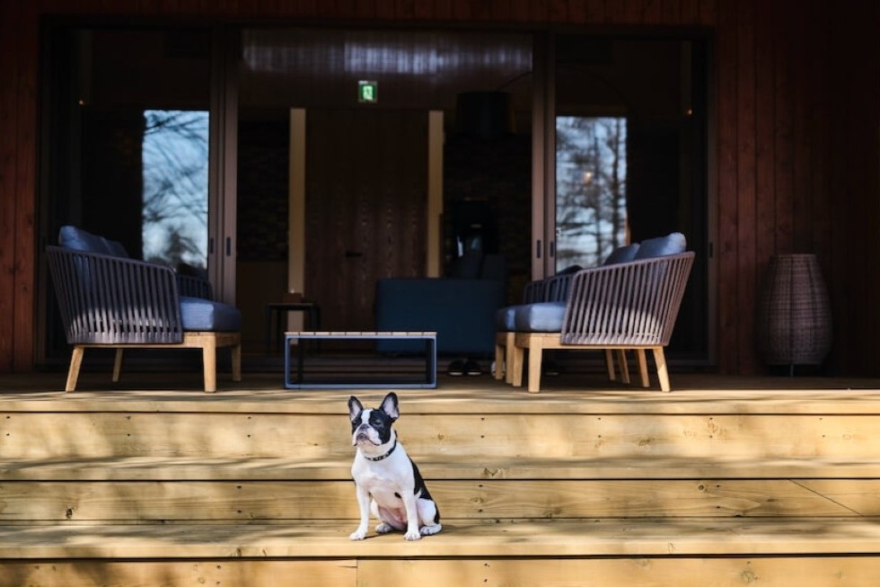 HIRAMATSU御代田_犬とヴィラ