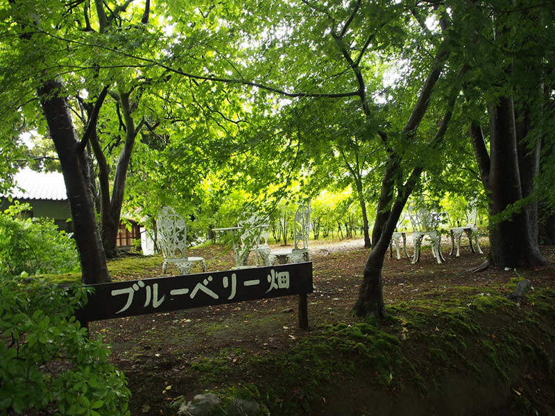 5000坪の敷地内には、楽しめるスポットが満載