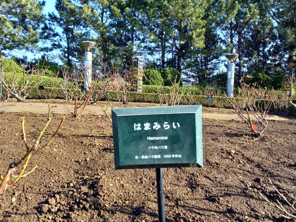 丘の広場5