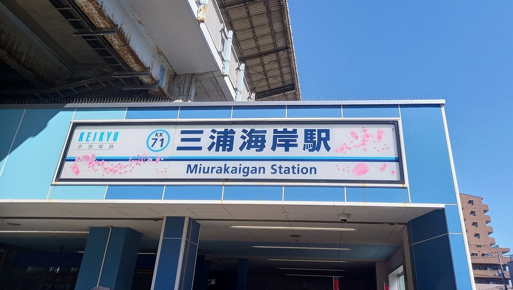 三浦海岸桜まつり4