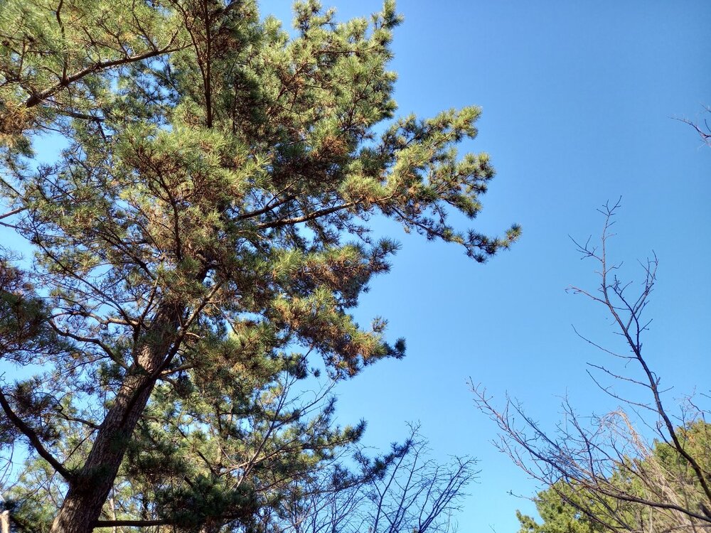 丘の広場2