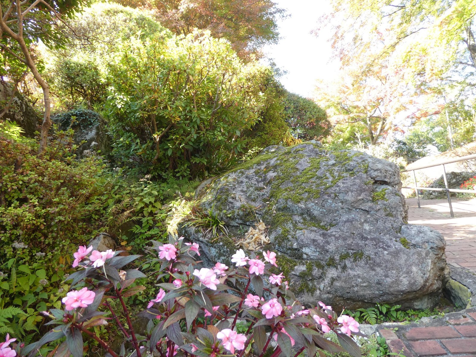箱根強羅公園 1