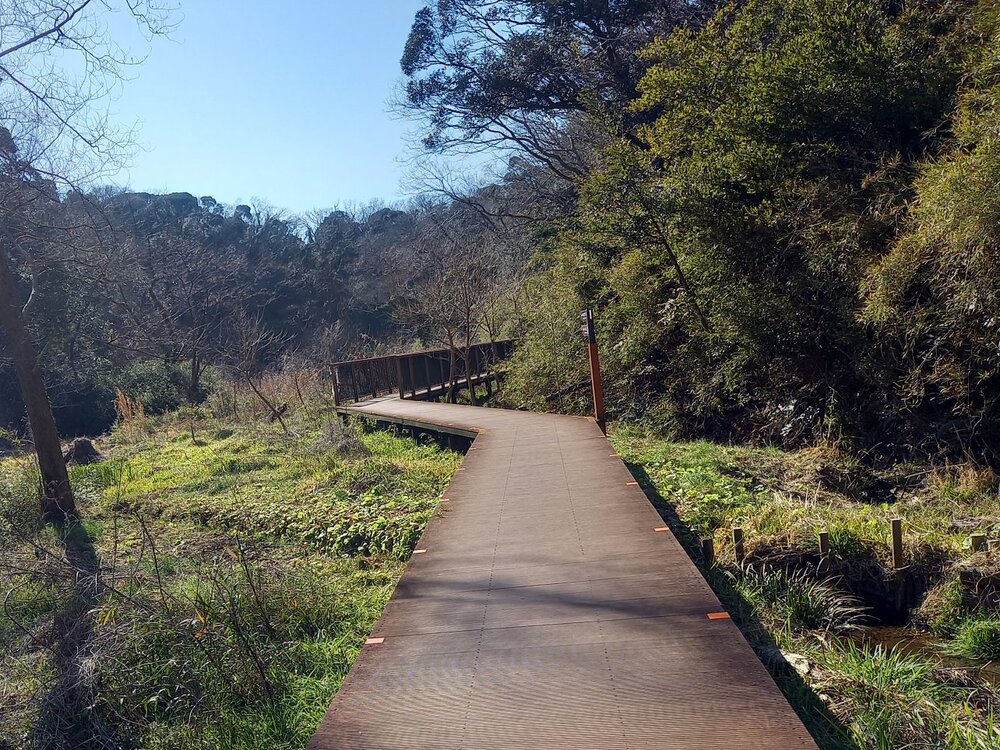 小網代の森