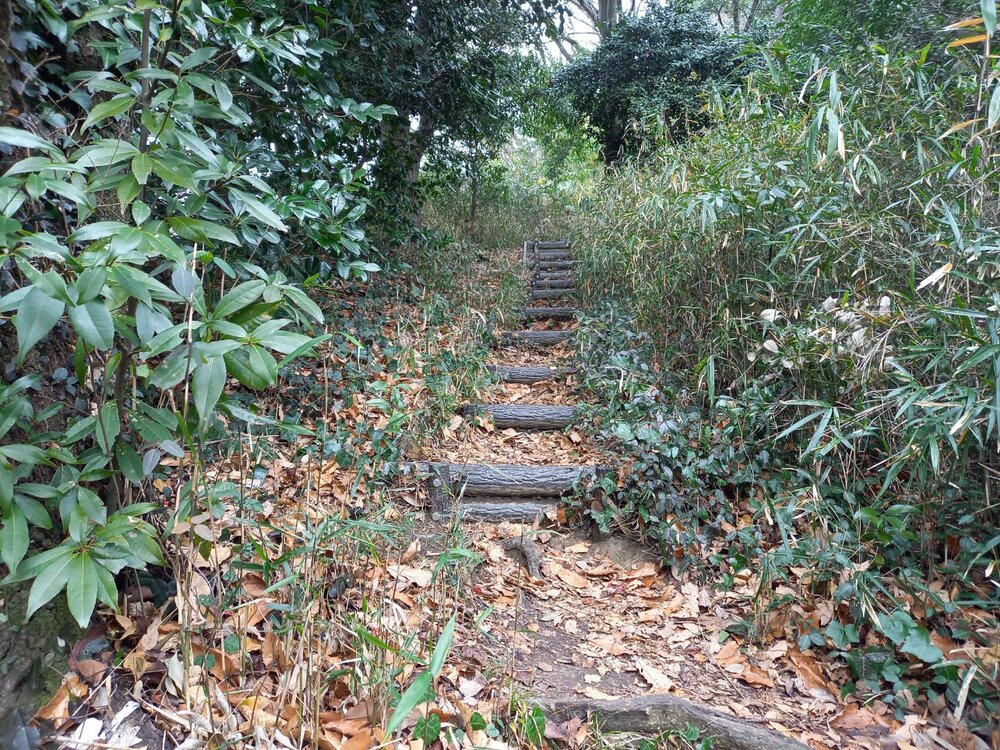 称名寺市民の森2