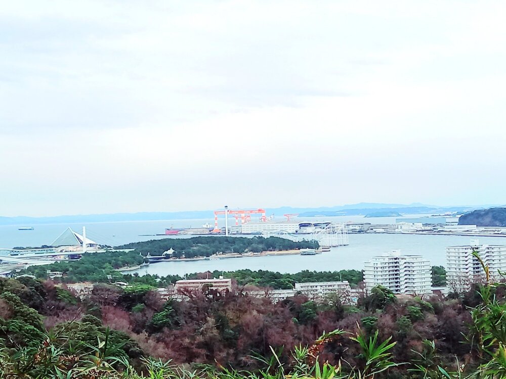 称名寺市民の森5