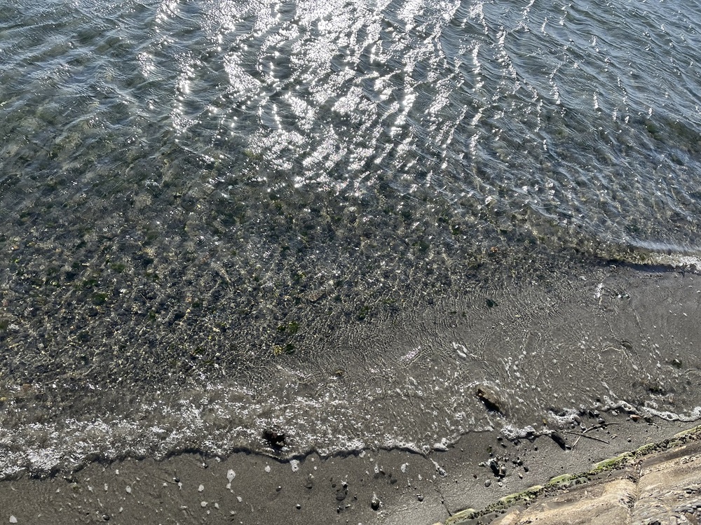 弁天島海浜公園5