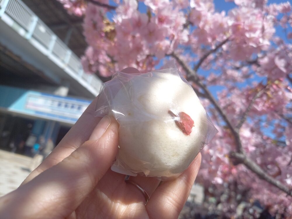 桜まつりのテント村