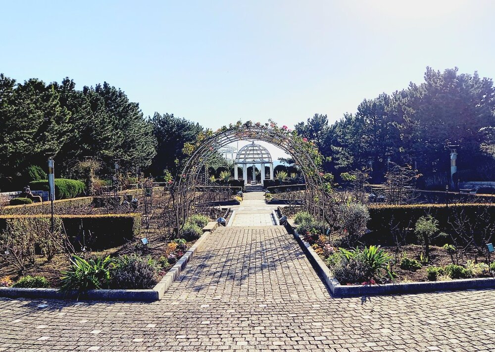 丘の広場