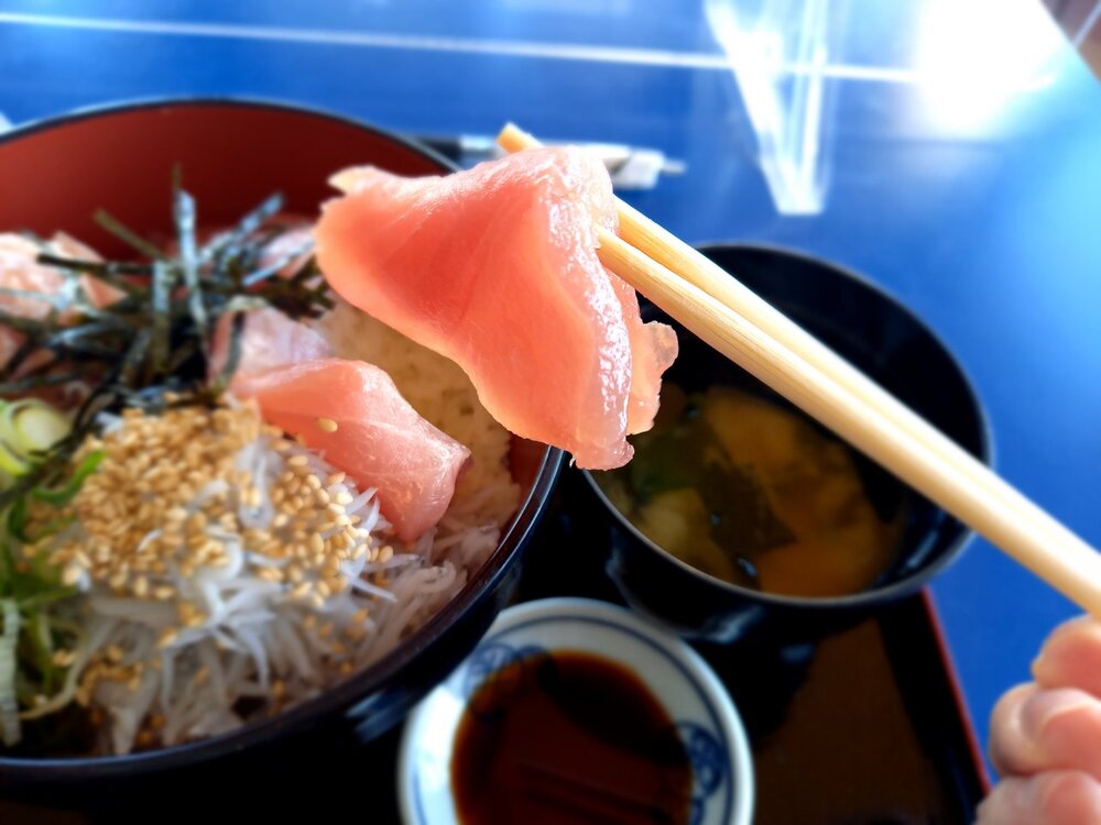 潮騒食堂哉介マグロ丼