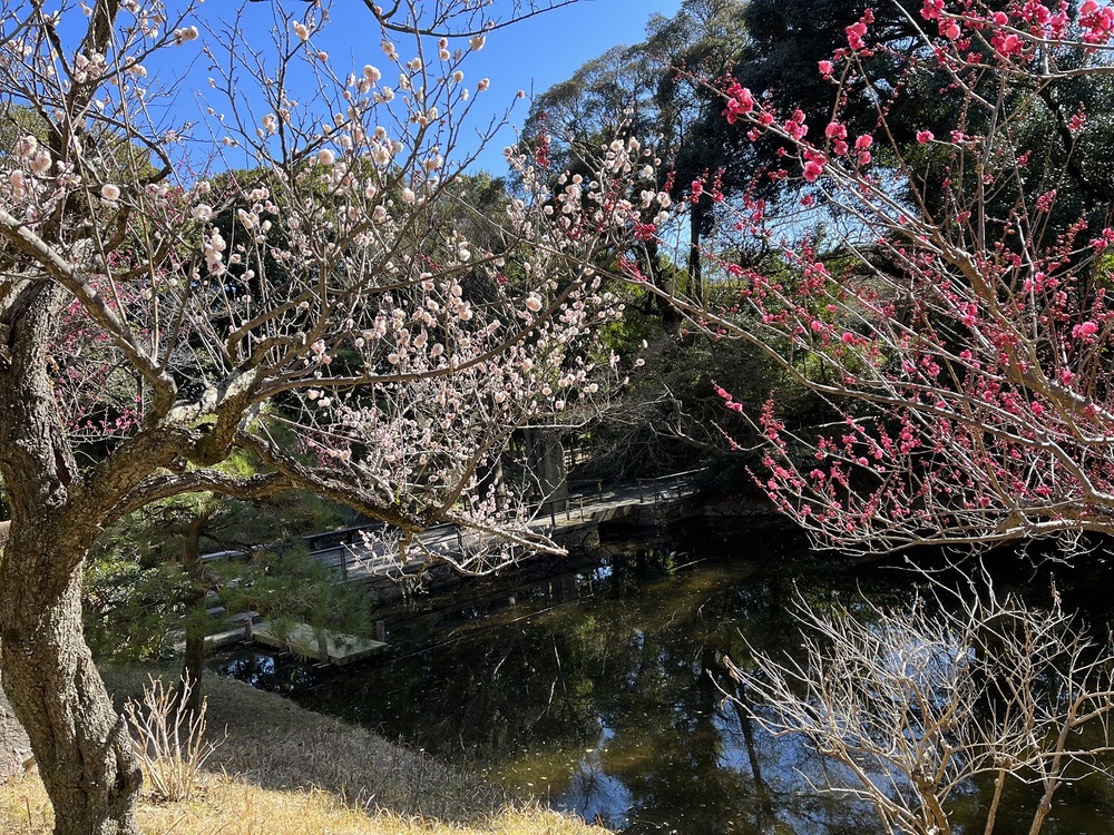 浜松城公園3