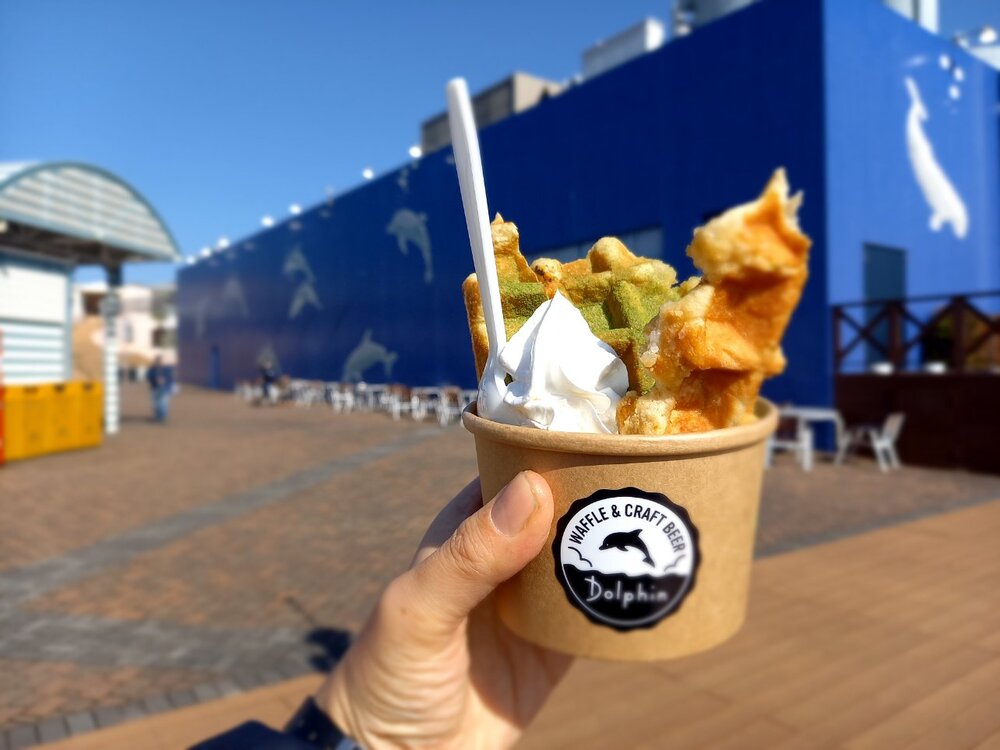 八景島シーパラダイスドルフィン1