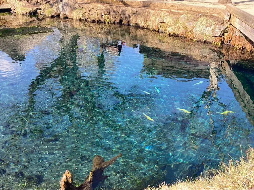 美しい富士山の湧水が生み出す「忍野八海」絶景スポットとしても名高い