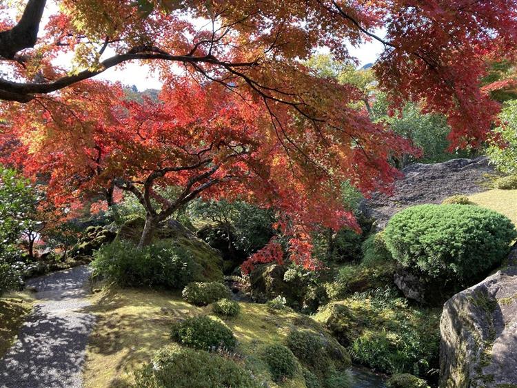 箱根強羅公園3