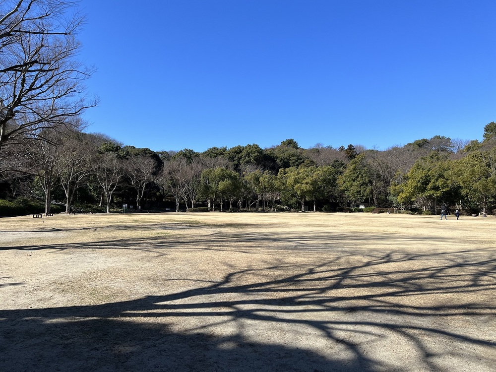 浜松城公園1