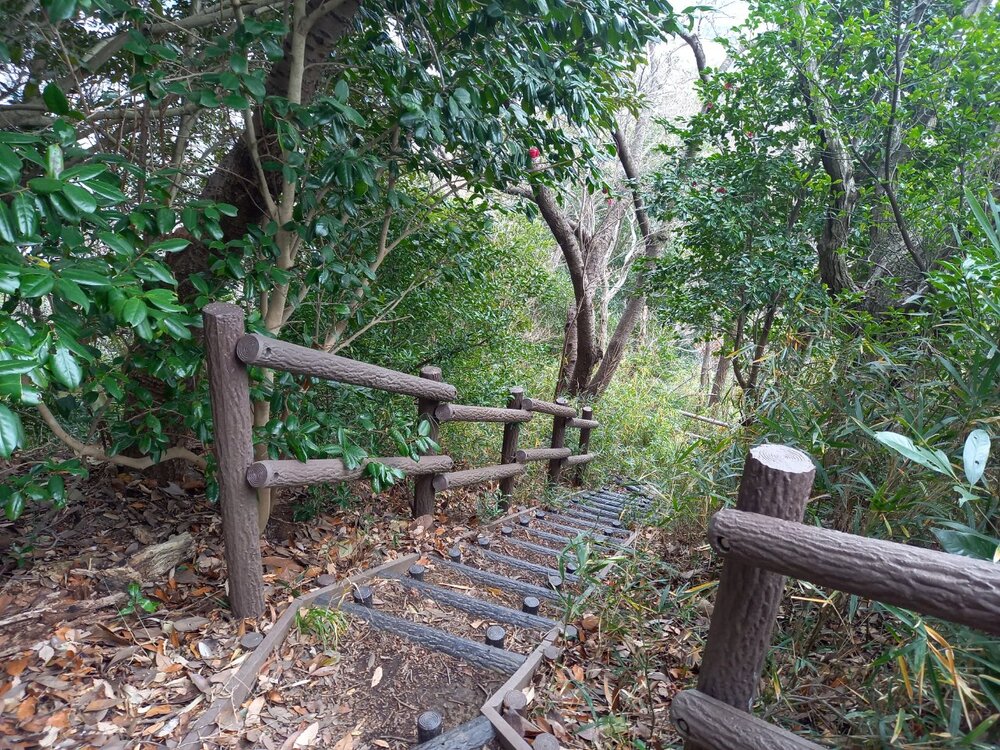 称名寺市民の森2
