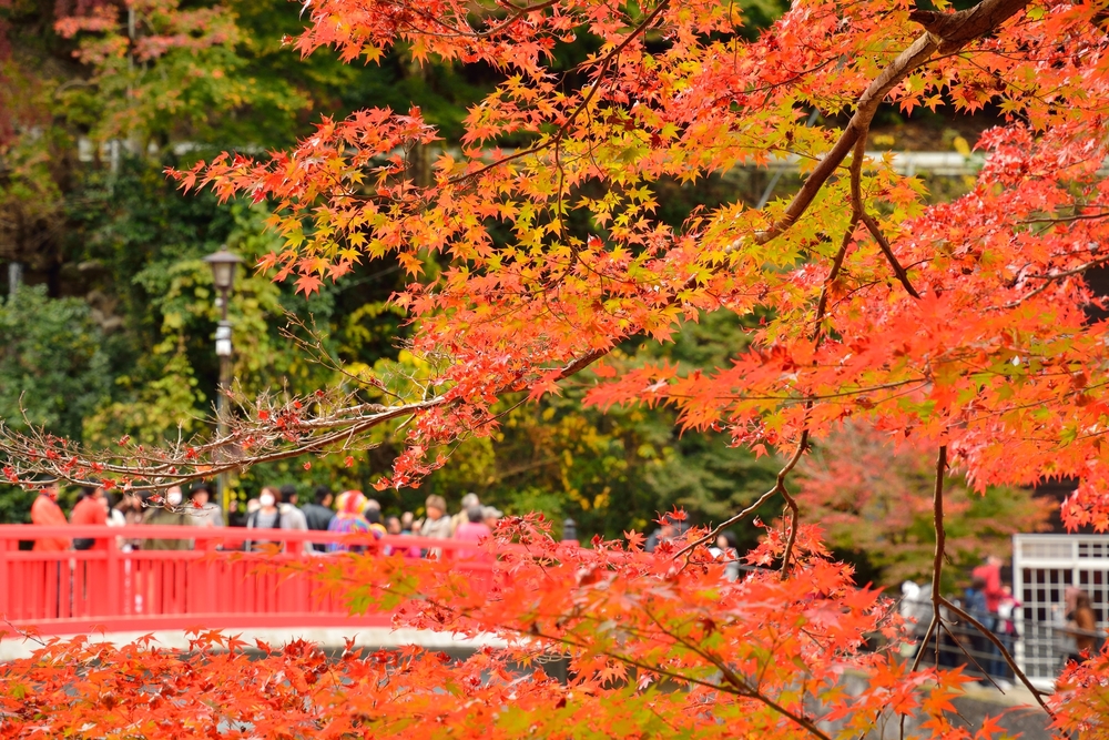 愛知の観光情報