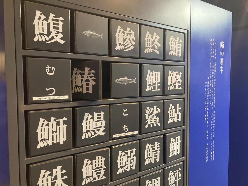 鮨学堂4