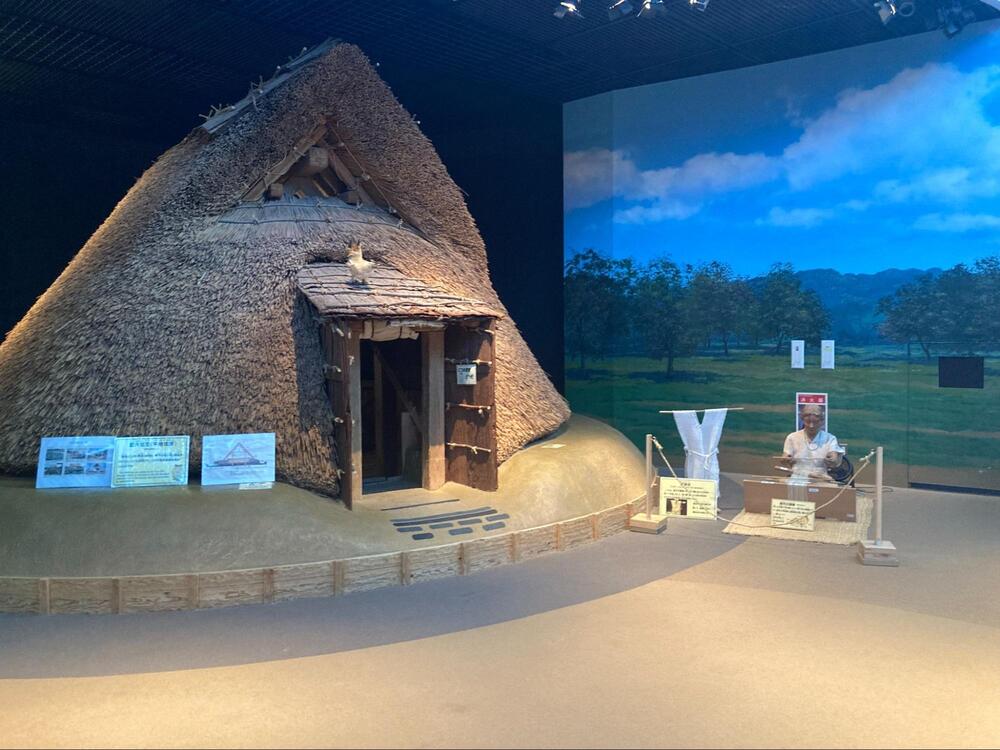 登呂遺跡2