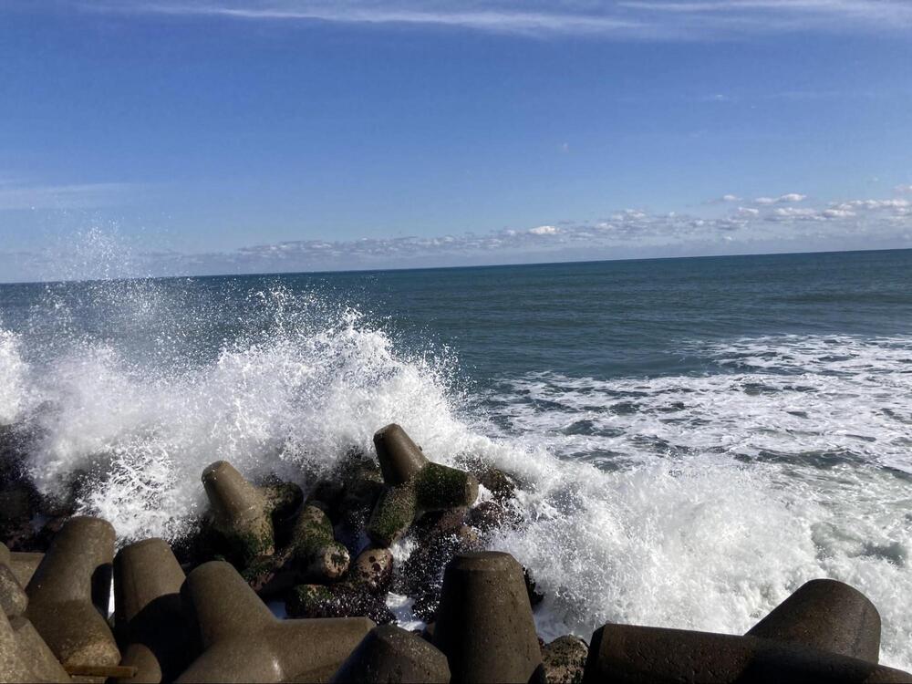 太東海浜植物群落2