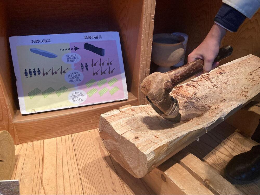 登呂遺跡6