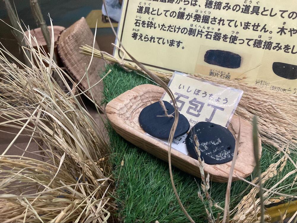 登呂遺跡5