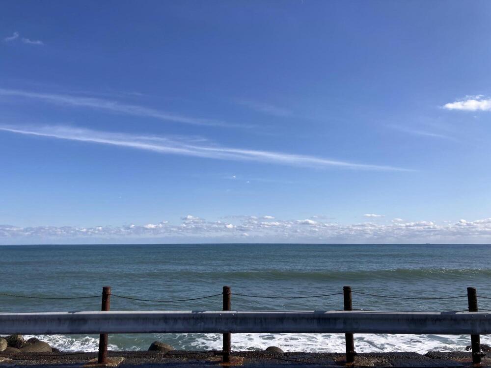 太東海浜植物群落2